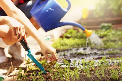 Professional hedge trimming in a Redbridge garden