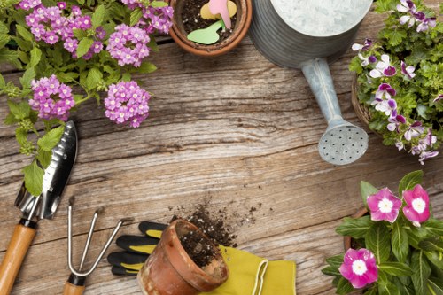 Seasonal lawn care in Redbridge with aeration and grass treatment