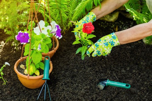 Illustration representing essential website cookies for Gardeners Redbridge