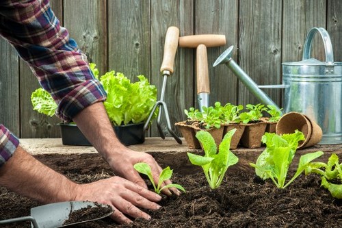 Waste handling and disposal rules for garden work