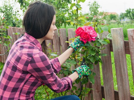 Graphic about accessibility requests for local gardening content