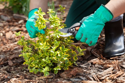 Redbridge gardeners improving outdoor spaces in the local area