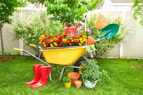 Autumn and summer garden care tasks for Redbridge homes