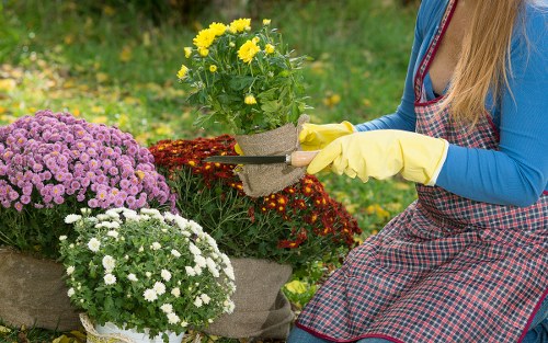 Professional resolution of a gardening complaint