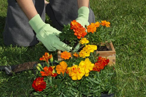 Illustration of inclusive Gardeners Redbridge web access