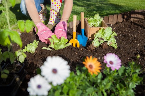 Local garden maintenance in Redbridge with lawn care and trimming