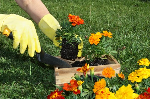 Professional landscaping in Redbridge with neat lawn and pathway design
