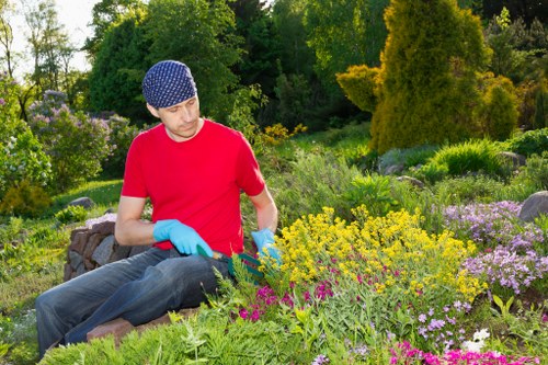 Experienced Gardeners Redbridge team shaping a residential outdoor space