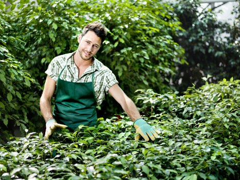 Image showing screen-reader friendly gardening website structure