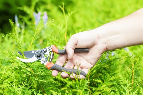Local transfer station handling recyclable green waste