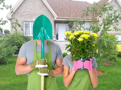 Seasonal lawn mowing service in Redbridge garden