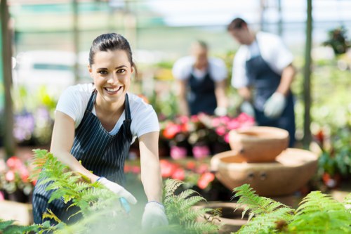Hedge trimming and weed control for Redbridge garden upkeep