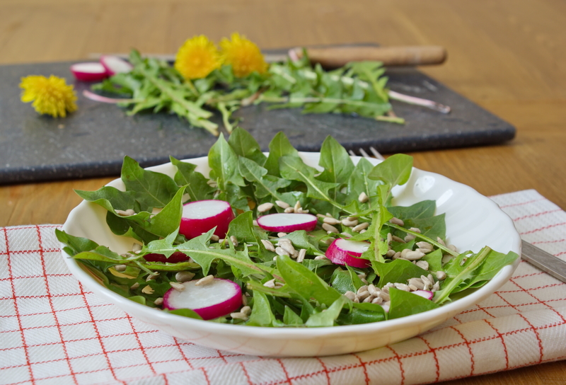 garden care irrigation system