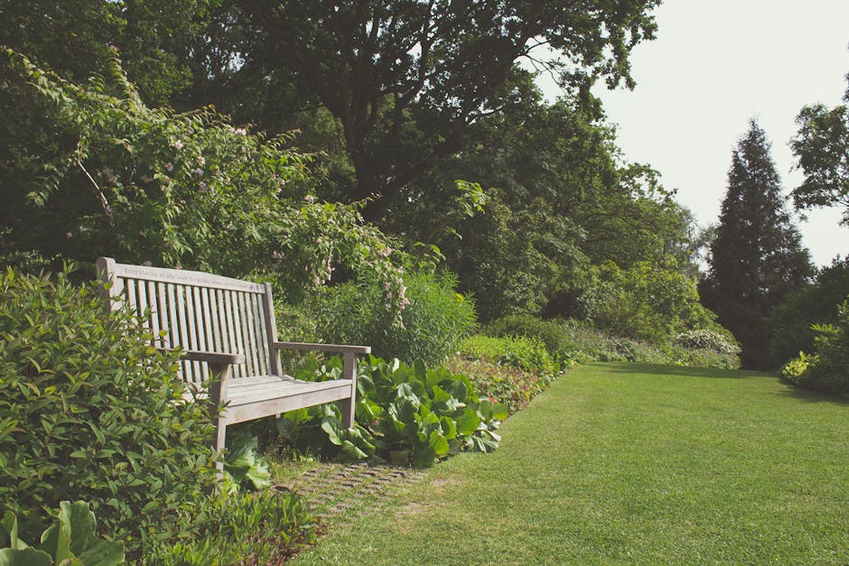 A peaceful garden scene featuring a well-maintained grassy lawn bordered by lush green shrubs and flowering plants with pink blossoms. On the left side, a wooden garden bench is situated among dense f